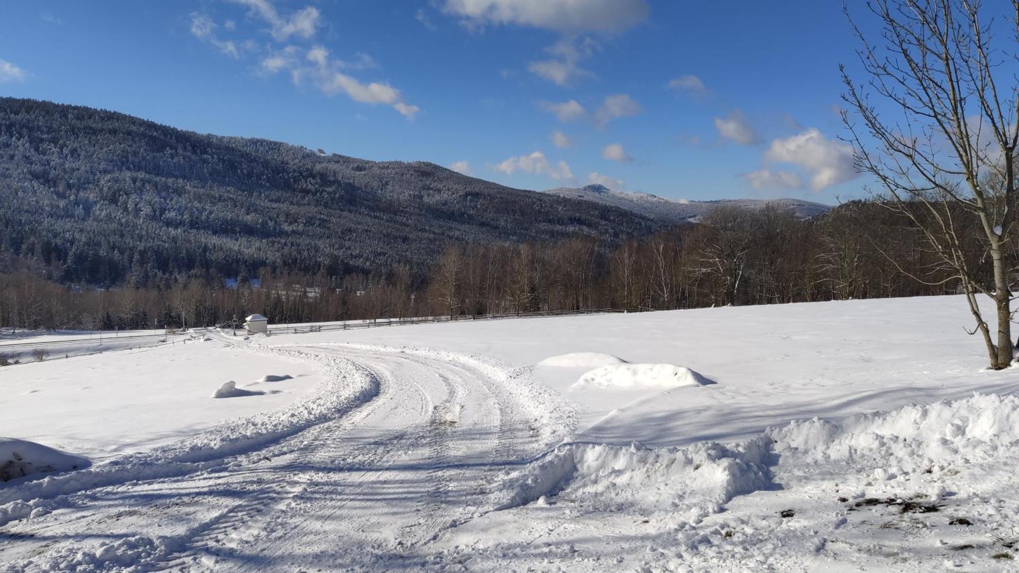 Apartman Berg Brcalnik Železná Ruda Esterno foto